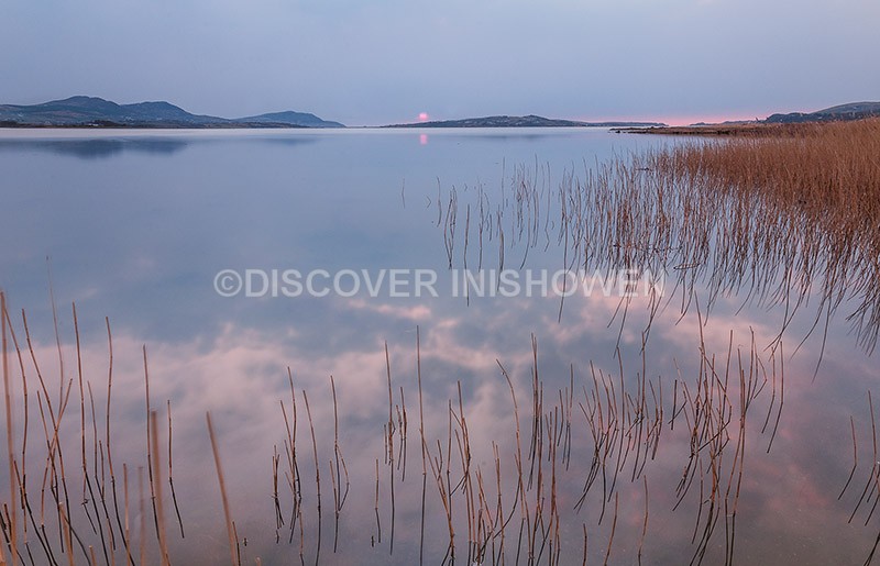 Blue and pink - Nature