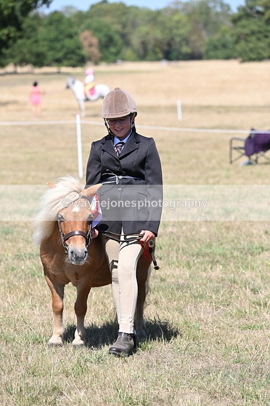 WJ6_8708 - Class 37b Best Loan Pony In-hand