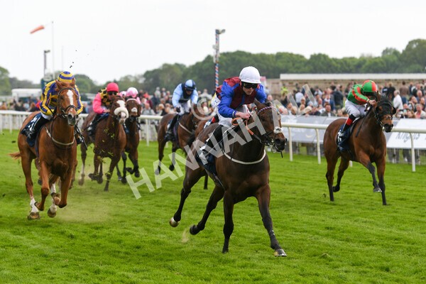 yr13052022r7-34 - Race 7 5.15pm Longines Irish Champions Weekend Stakes