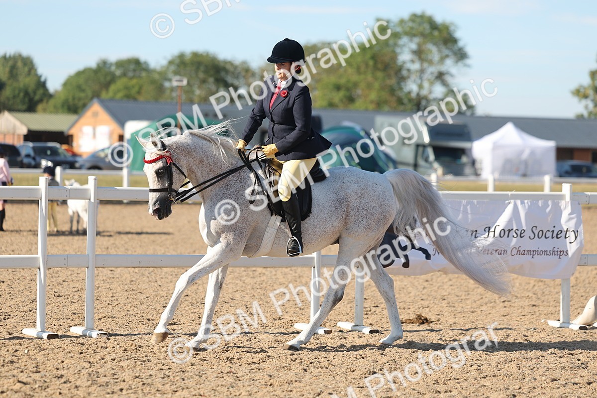SBM_12190 - Class 303 - Ridden Pure Bred Horse Pony