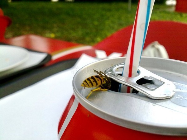Coke b - Mobile I