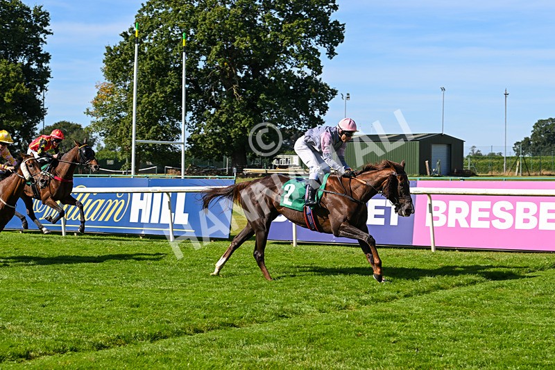 160924-Race 1-Susiesparkle-2521 - Race 1