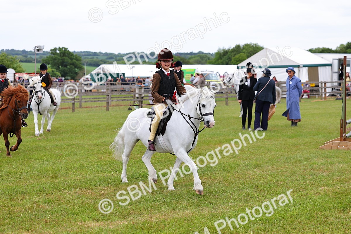 SBM_08877 - Class 42-43 - LIHS BSPS Heritage Working Sports Pony