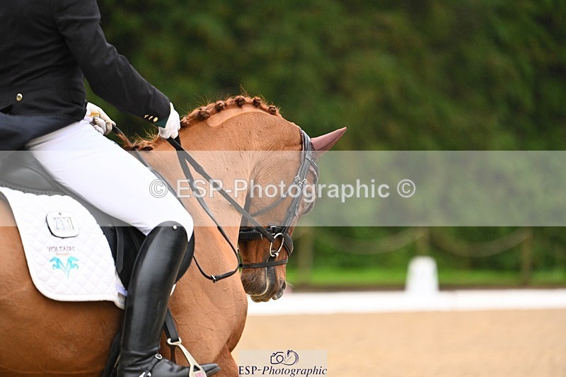 231021-104032-14506 - 231-ROUGE.ANGEL-Fred.Scala-DR