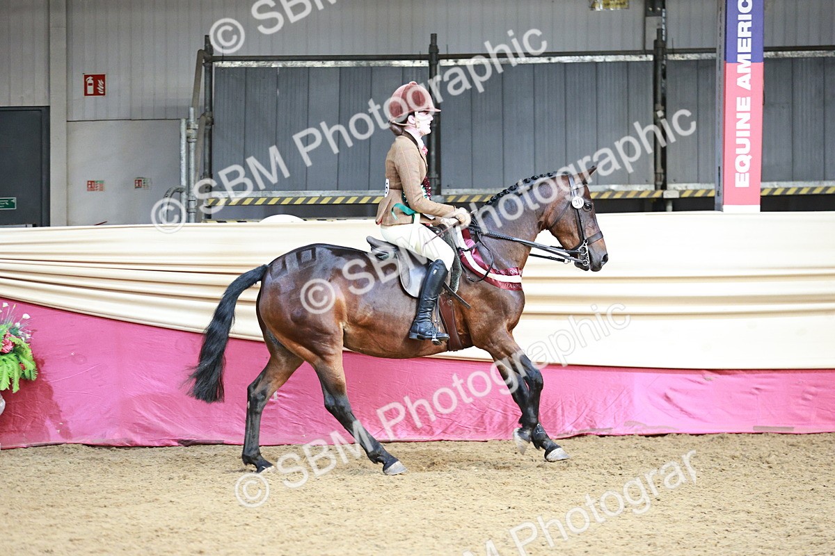 SBM_08710 - Regional Ridden Champ