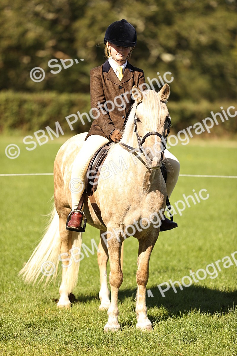 SBM_19174 - S3 - TSR Ridden Pony Showing