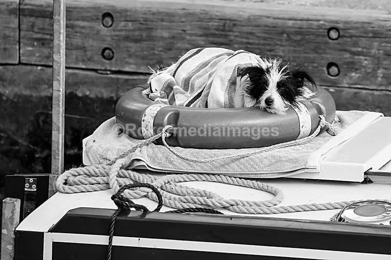  - Out N about in Henley