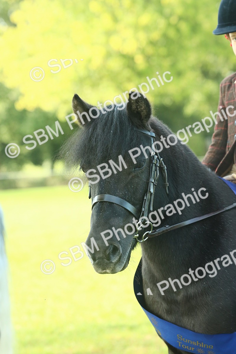 SBM_61114 - Starter Supreme Championship