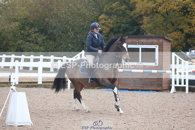 231112A-100607-03193 - Cls 17 Blue Chip Novice Winter Qualifier