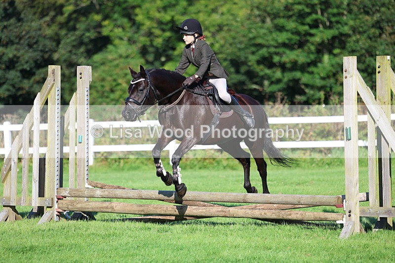 3E7A7479 - Class 1: Novice Working Hunter Pony