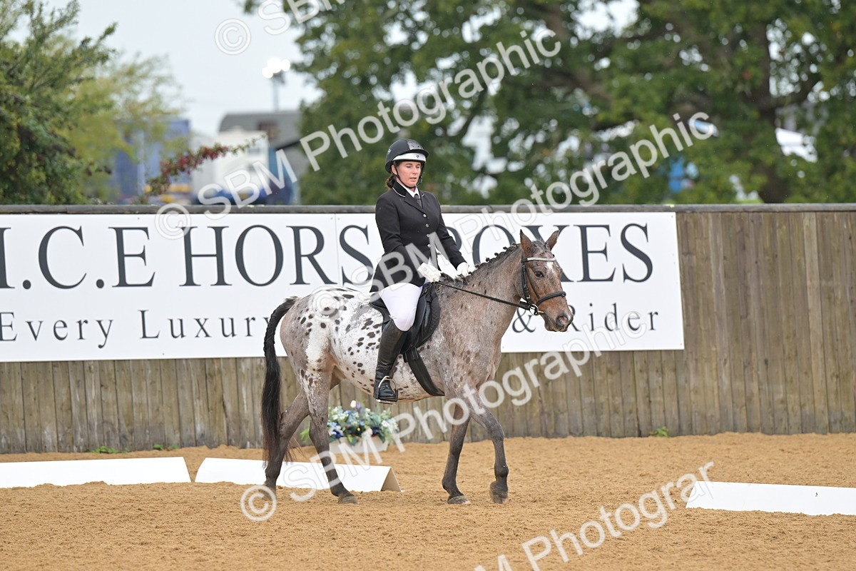 SBM_00503 - D2 - Small Tour Championship Intro 2