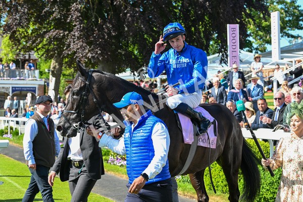 160525-Race 4-Rebels Romance-6808 - Race 4 3.45pm Boodles Yorkshire Cup Stakes