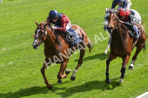 yr12052022r2-24 - Race 2 2.25pm Al Basti Equiworld Dubai Middleton Fillies' Stakes
