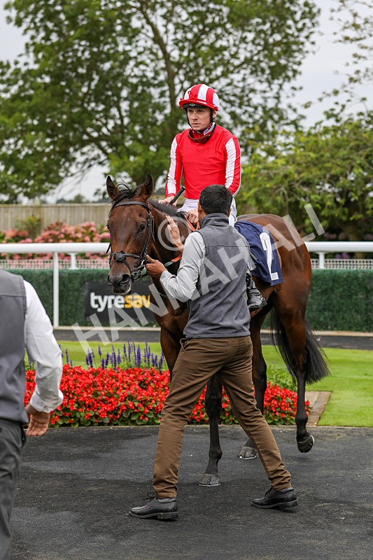 250824-Race 4-Mission Command-9435 - Race 4