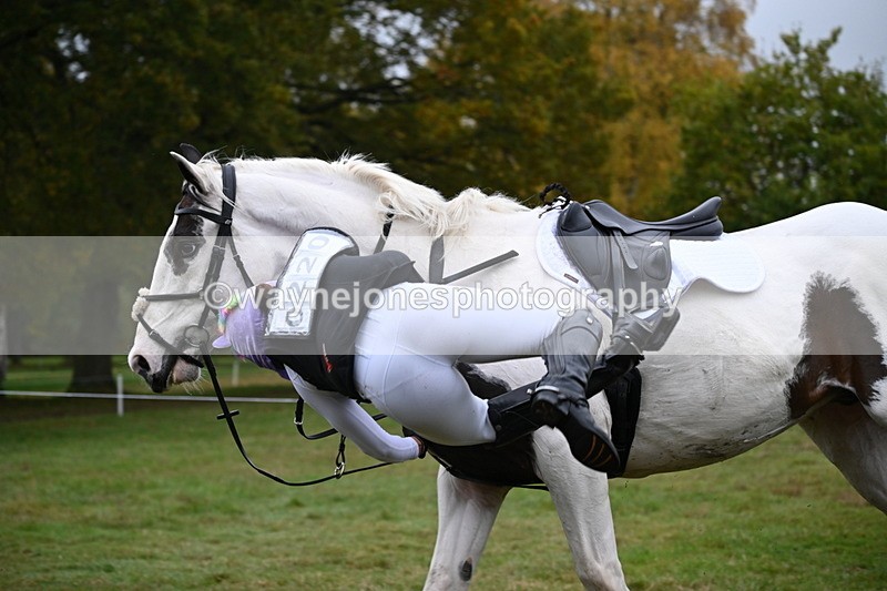 WJ6_3523 - 90cm Cam 1 Time 13:07 to 13:34