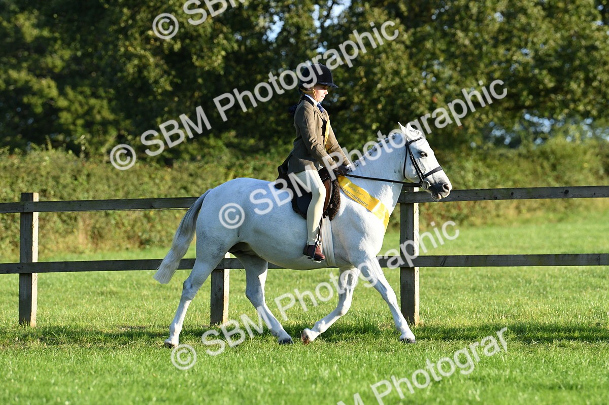 SBM_56396 - 1st Ridden Supreme Championship
