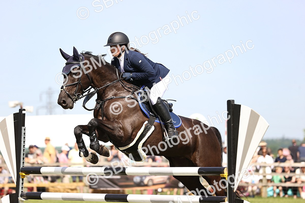 SBM_03077 - Class 201 - British Horse Feedds Speedi Beet HOYS Grade C