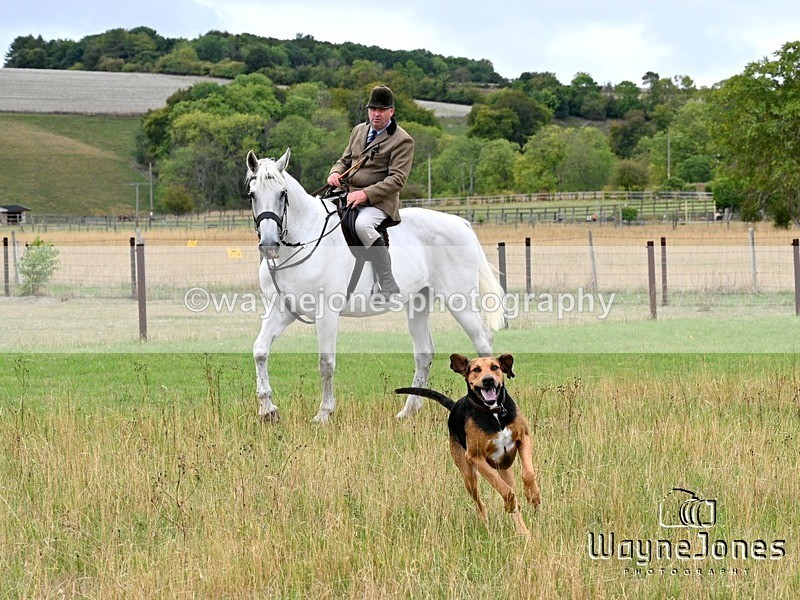 WJ7_0605 - Berks & Bucks Hound Exercise Blewbury 13-09-26