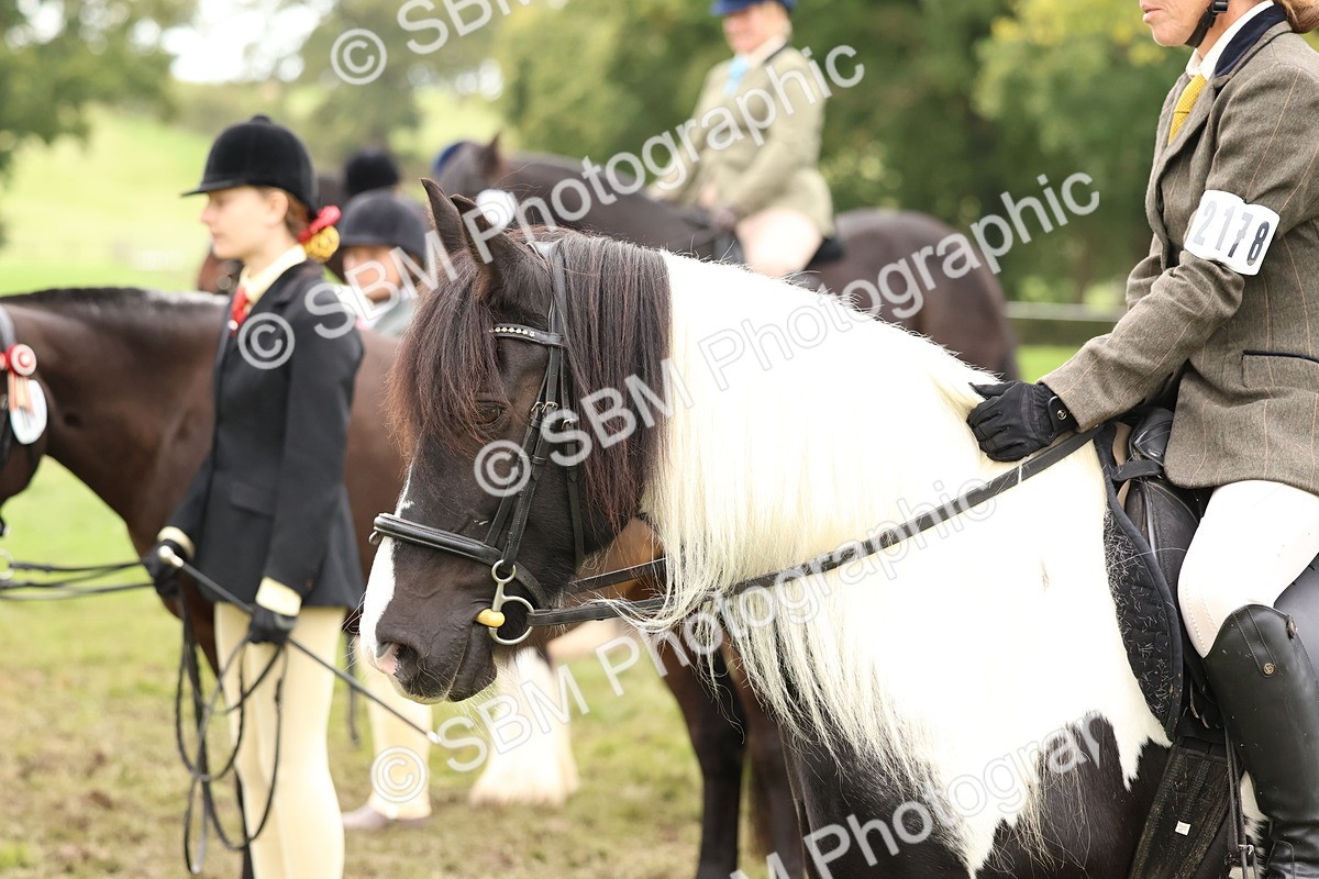 SBM_59982 - S36 - Rehabiliated Rescue Horse & Pony In Hand & Ridden