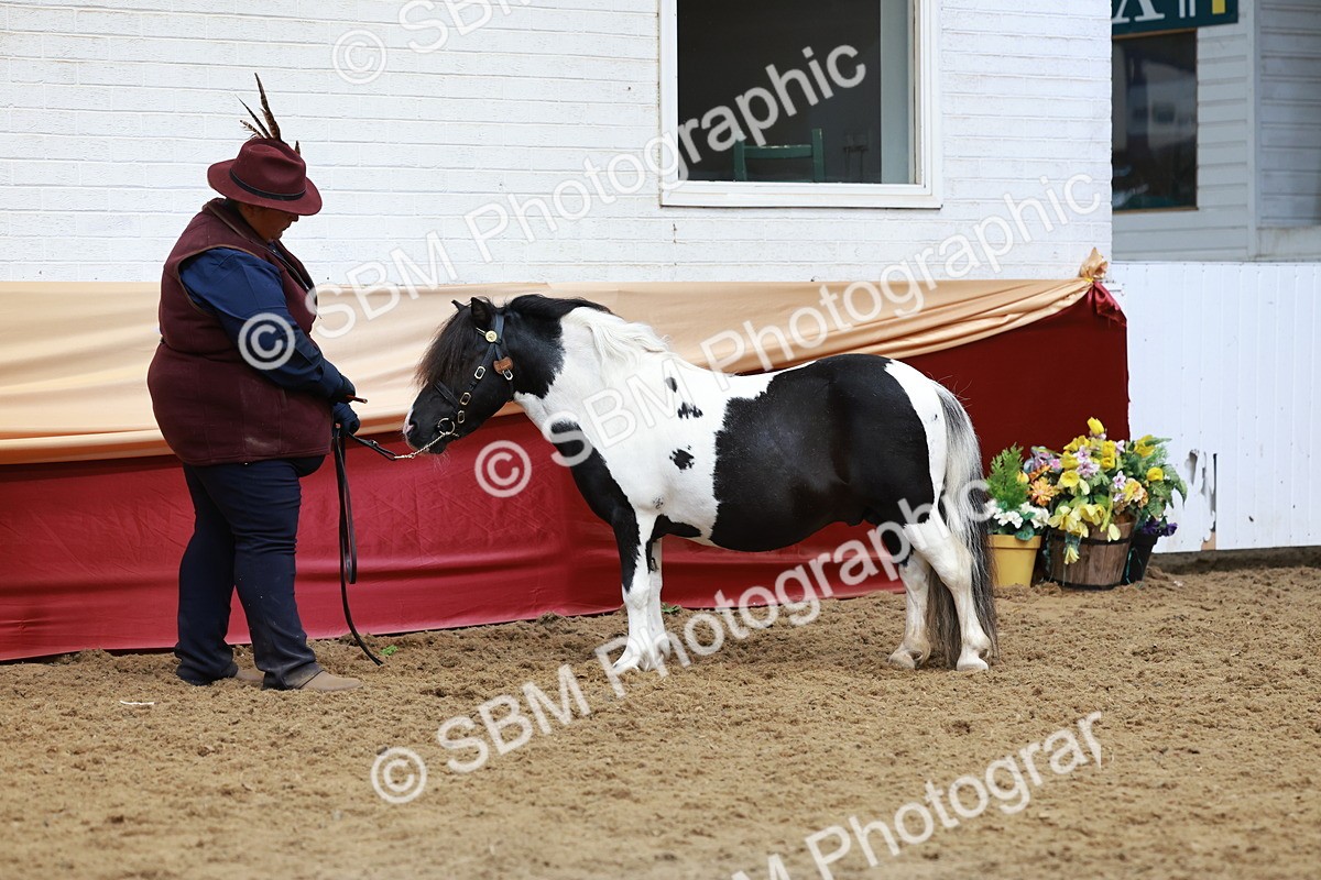 SBM_17584 - Class 951 - M&M IH Supreme Final