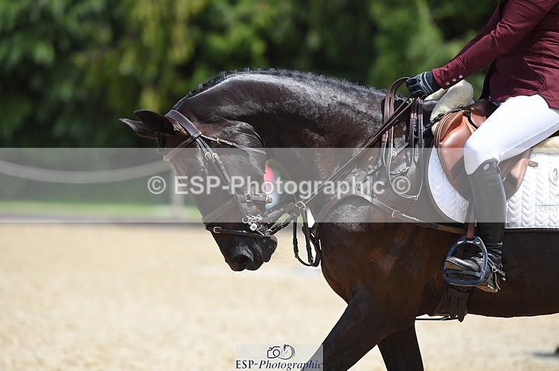 230528-125254-15884 - 317-FERNHILL_KANKAN-Jonelle_Price-SUNTrotUp+SJ