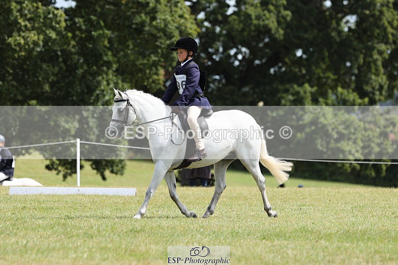 240824X-125301-27173 - D80 Section G and H 12.00 to 13.30