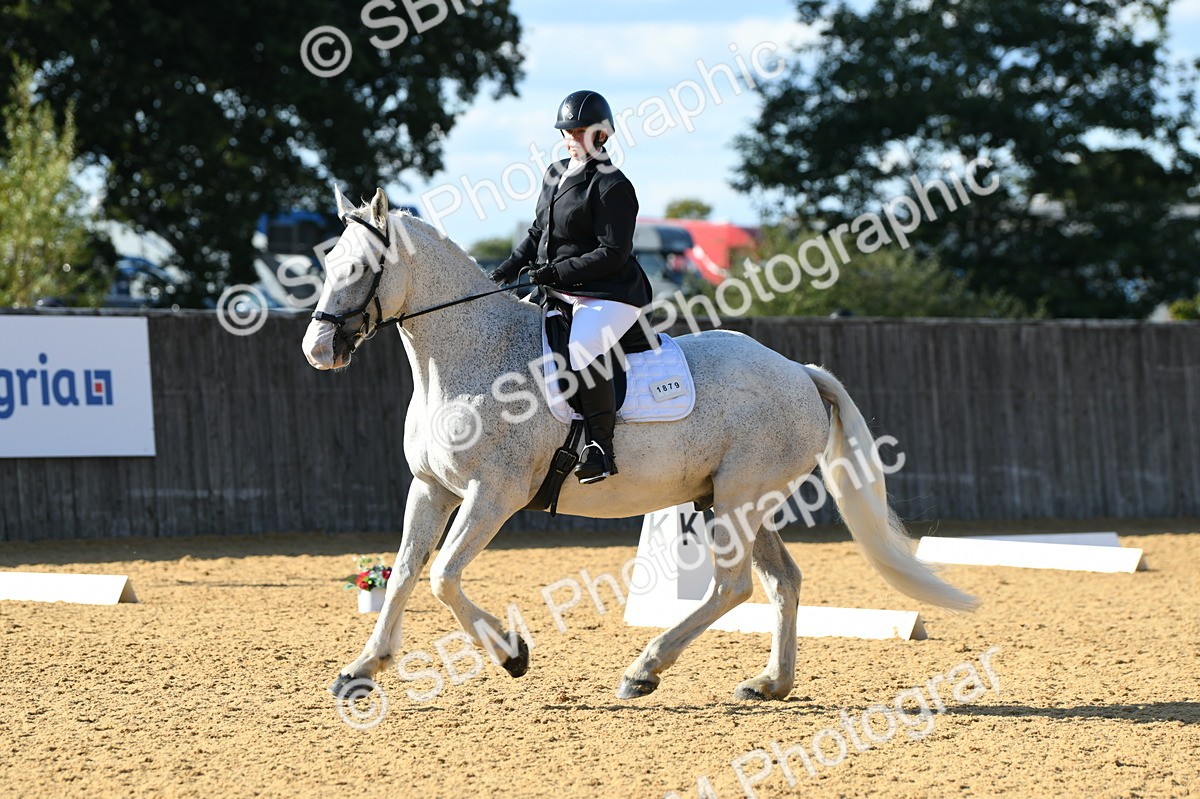 SBM_27279 - D16 - Small Tour Championship - Novice 28