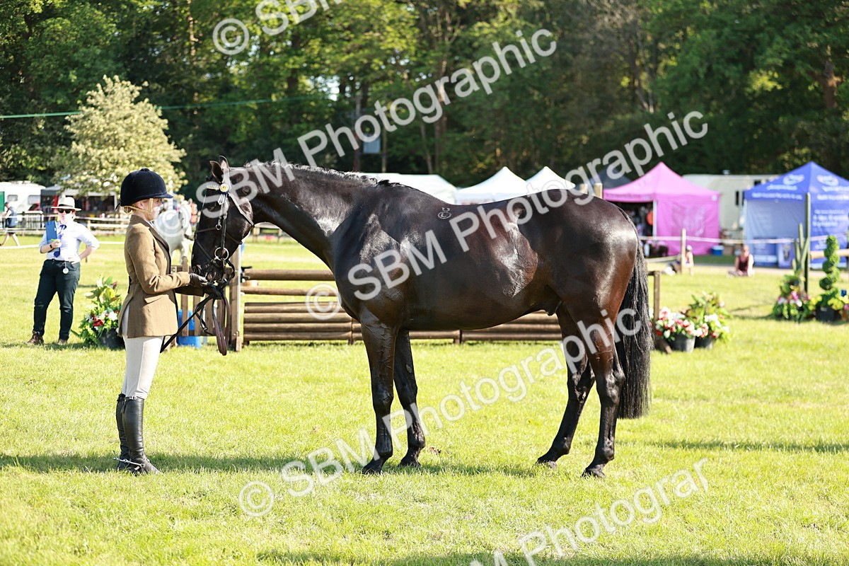 SBM_19295 - Class 115-116 - LIHS BSHA Rising Star Working Hunter & Show Horse
