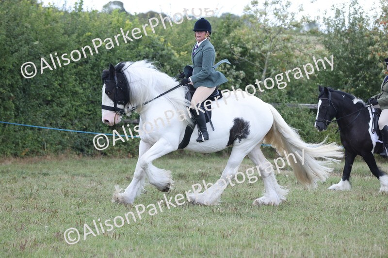 20250831-4279 - Class 20 - Ridden Coloured