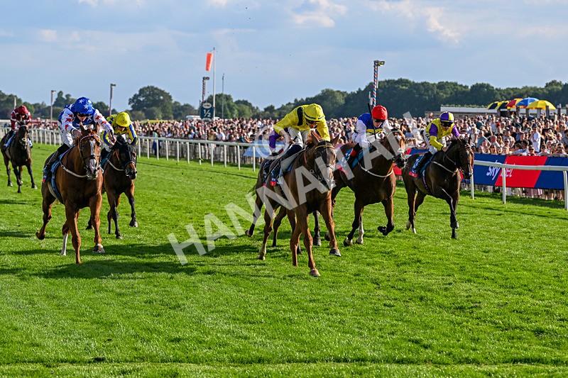 220826-Race 7-Raammee-1872 - Race 7 17.20pm Sky Bet Dav Reid Finale Handicap