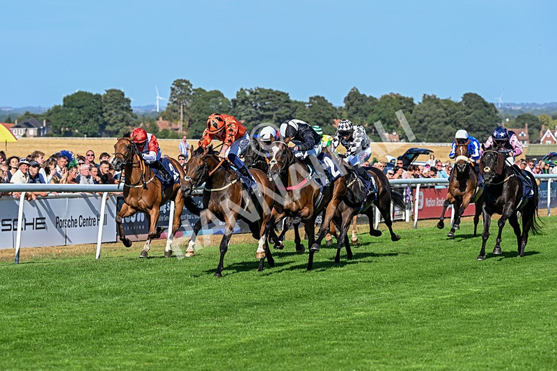 120826-Race 6-Rumble Ruby-7475 - Race 6 16.45pm Nation Radio Yorkshire Handicap