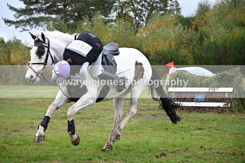 WJ6_3514 - 90cm Cam 1 Time 13:07 to 13:34