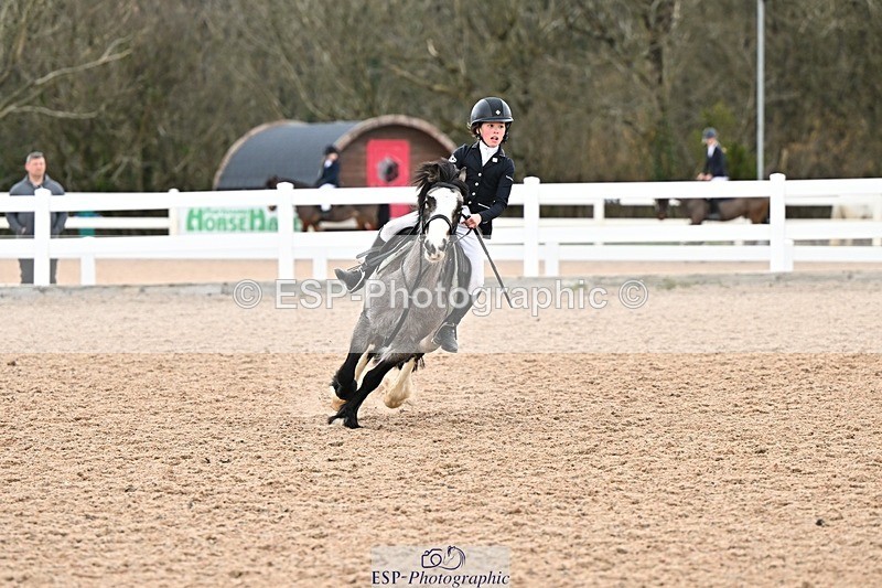 250308-141136-02235 - Cls 30 Stepping Stones