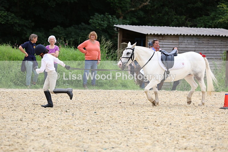 3E7A9622 - Walk trot run