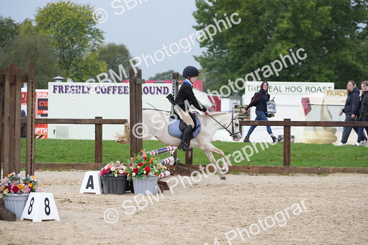 SBM_33902 - J5 - Junior Pony 50cm Championship