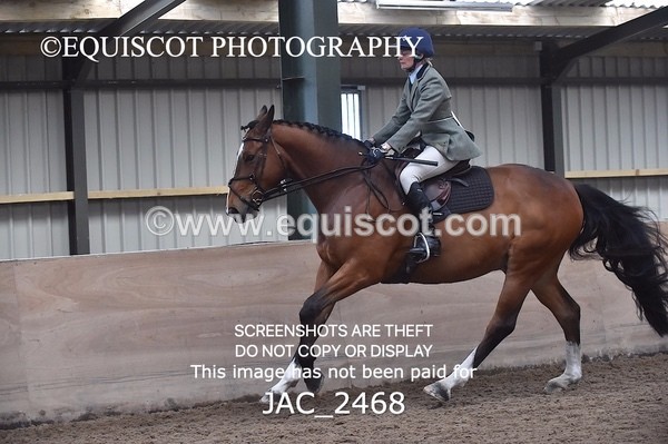 JAC_2468 - CLASS 3 Intermediate Working Hunter