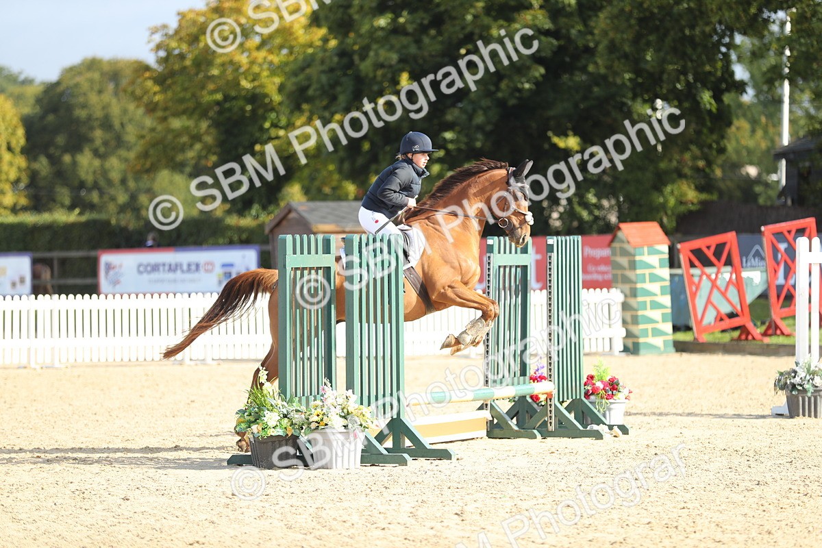 SBM_37347 - J20 - Junior Horse 50cm Championship