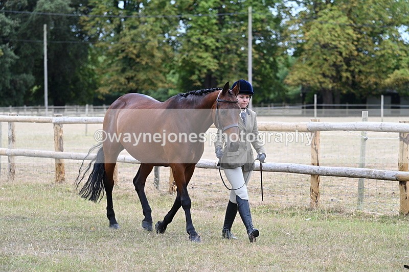 WJ7_8956 - Class 4a Prettiest Mare 14.2hh and over