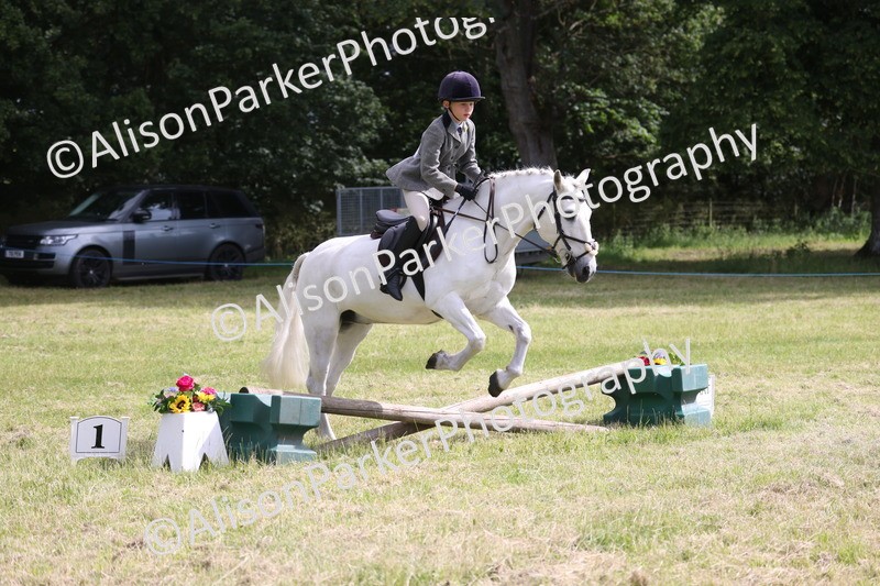 20260614-0536 - Class 20 - Beginners Working Hunter Pony