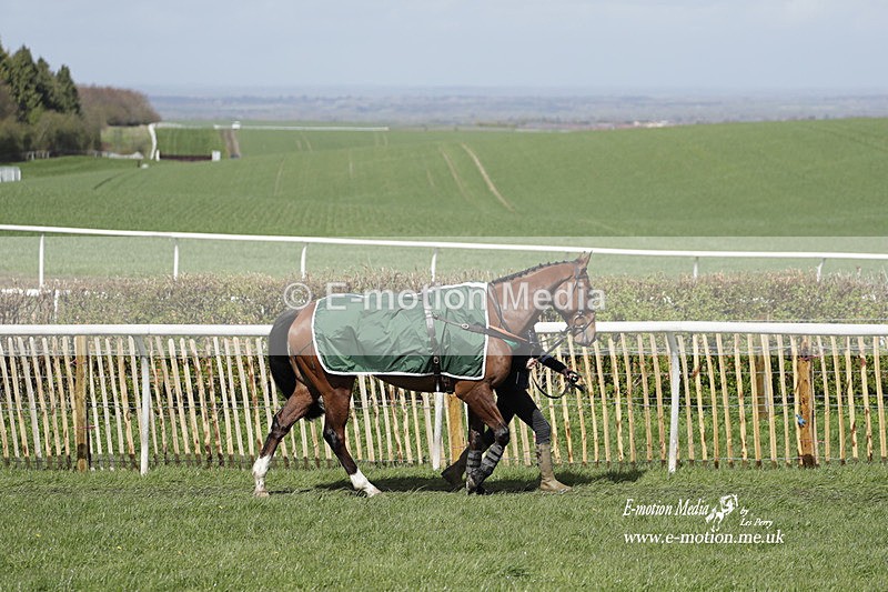 PtP 100423 457 - Old Berkshire Point-to-Point Lockinge 10/04/23