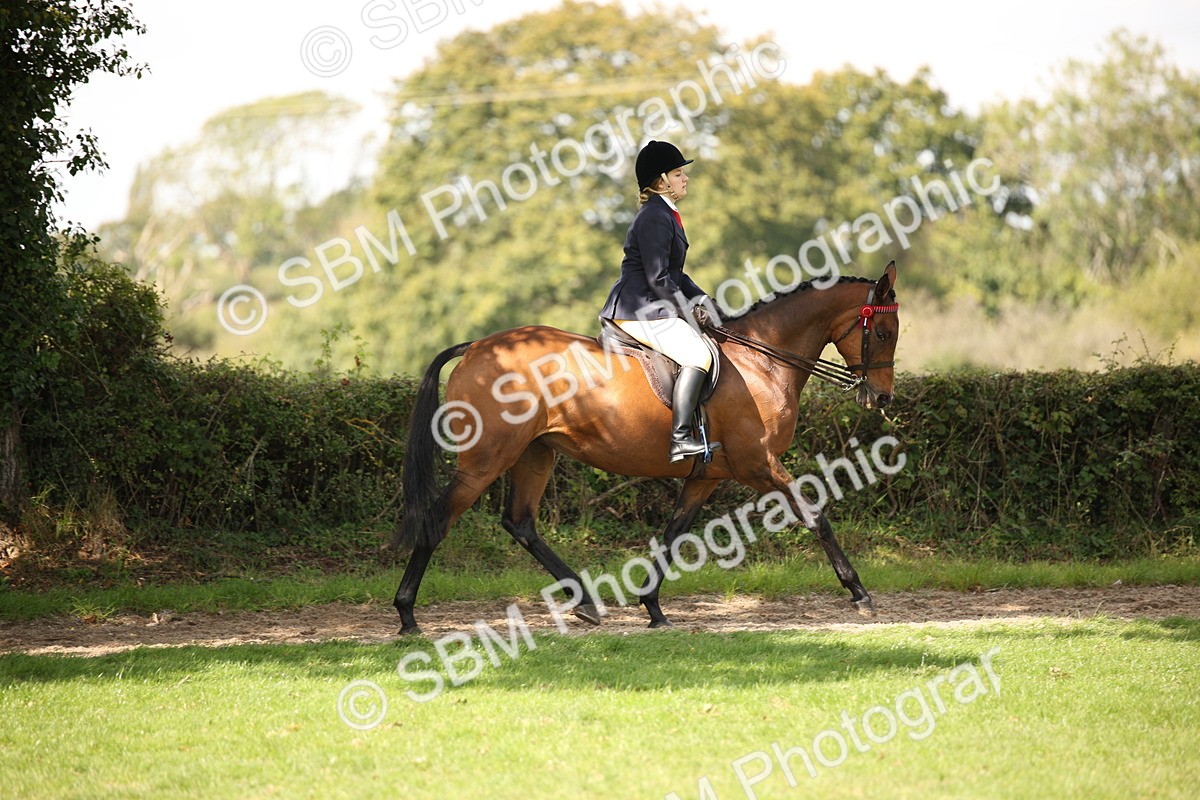 SBM_65916 - S64 - Riding Horse & Hack & Thoroughbred Ridden