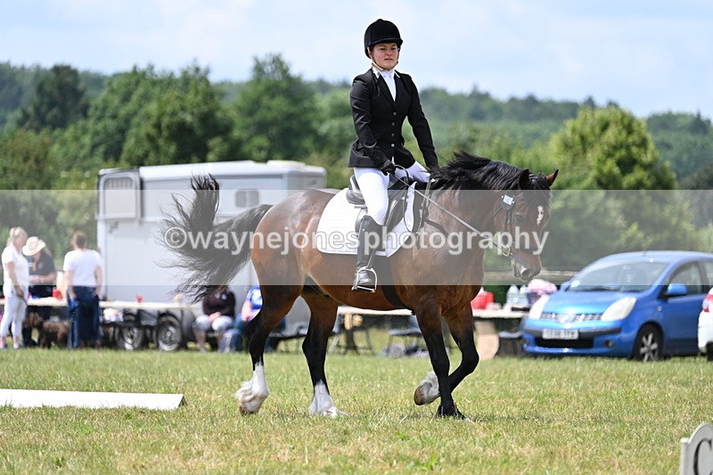 WJ7_5586 - Time 11:52 to 12:10