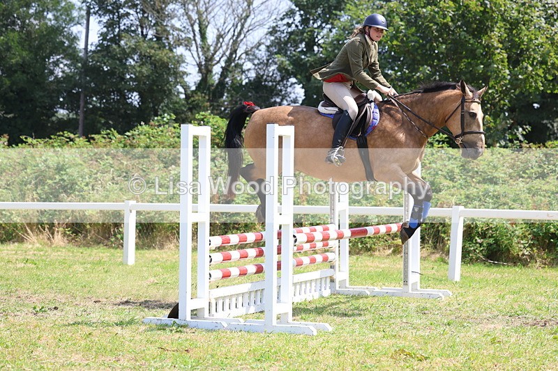3E7A2980 - Class 7: Senior British Novice/90cm open
