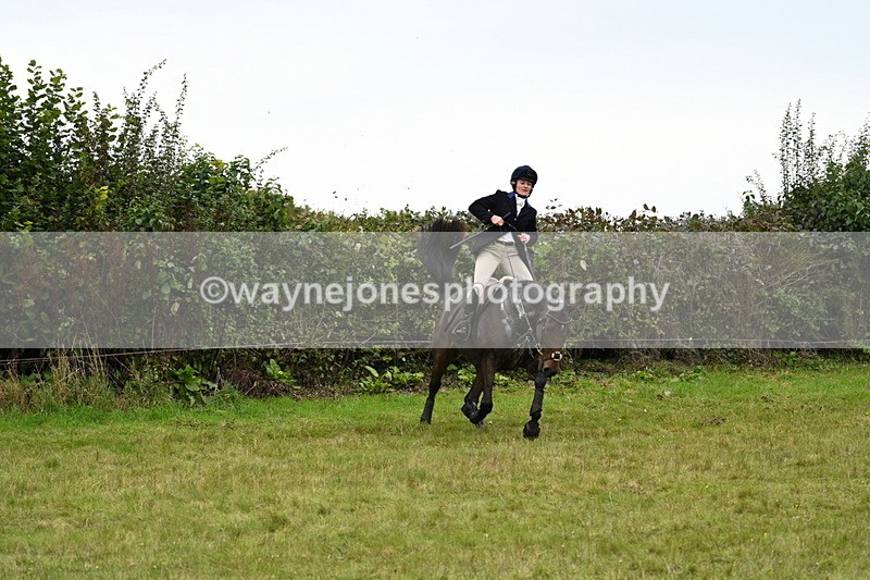 WJ7_4107 - Camera 1 Line 2