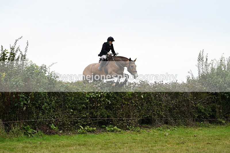 WJ7_4199 - Camera 1 Line 2