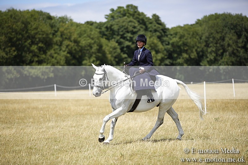 _C7A0244 - Side Saddle Classes BVRC Show 2018