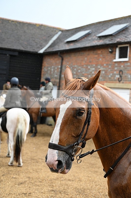 WJ7_6953 - Berks & Bucks at Blandy’s Farm 31-08-25