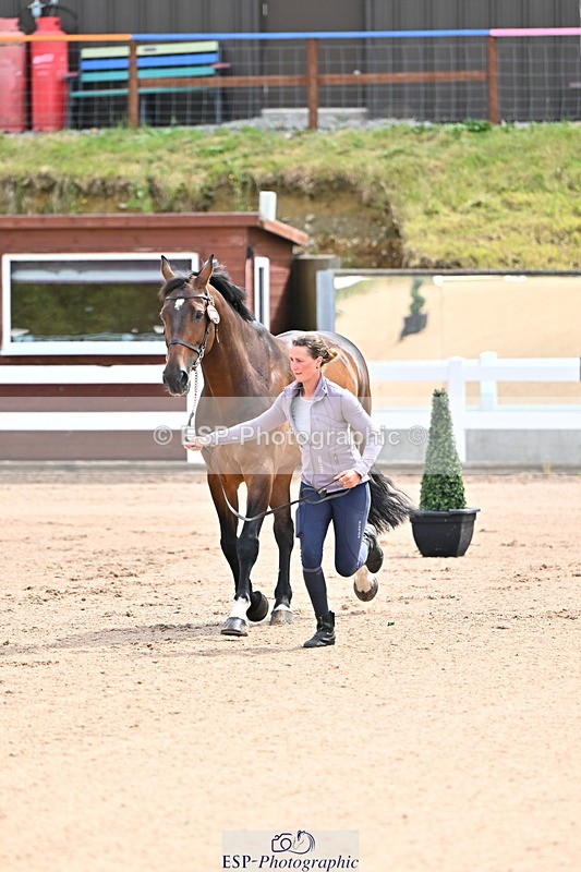 240718A-105236-00883 - Trot Up 11am to 12pm