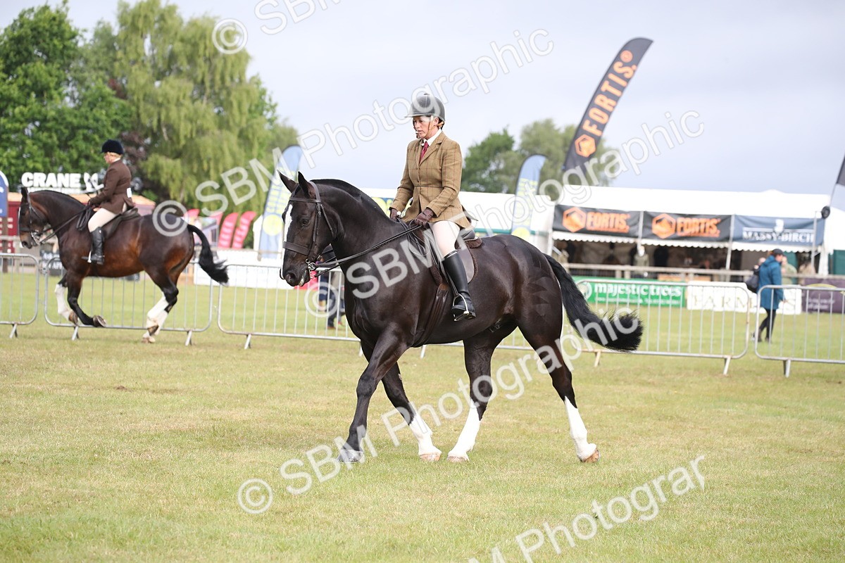 SBM_11243 - Class 92-93 - LIHS BSHA Rising Star Cobs