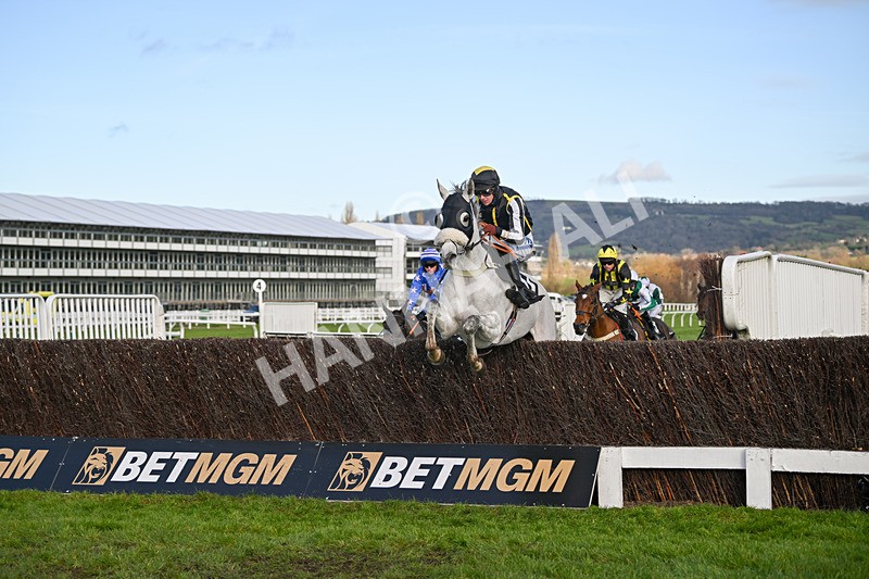 141224-Race 3-So Said I-1640 - Race 3